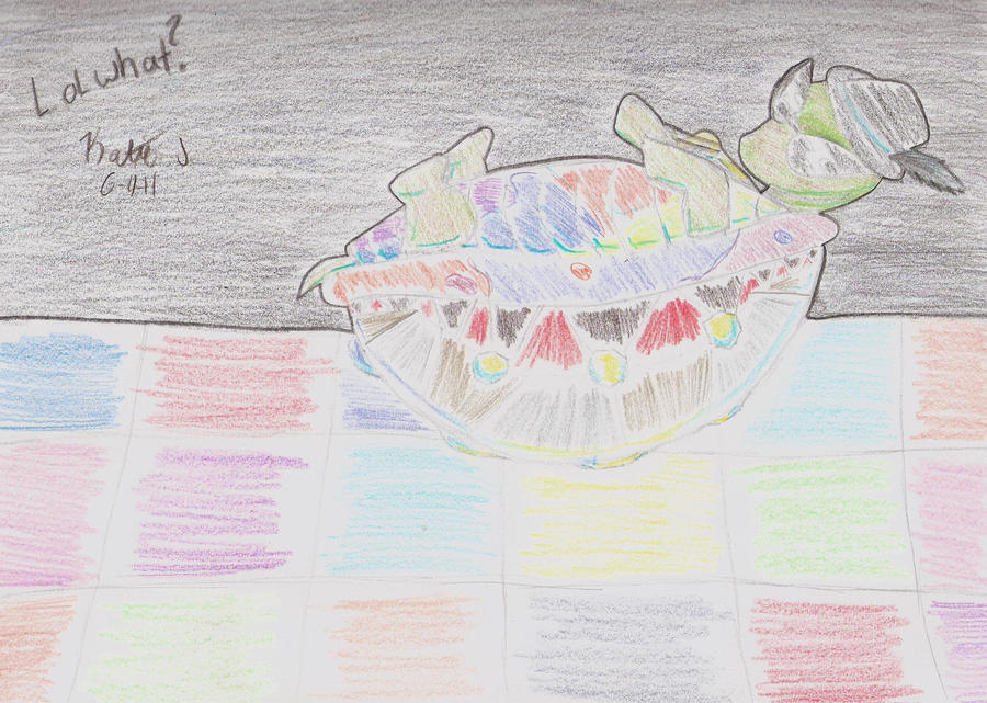Breakdancing Turtle by Kirby485 on DeviantArt