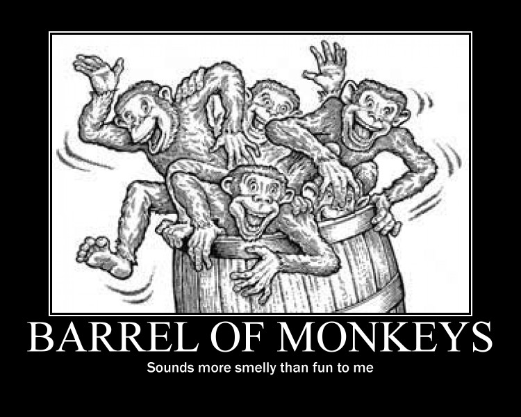 Barrel of Monkeys