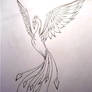 Phoenix - tattoo