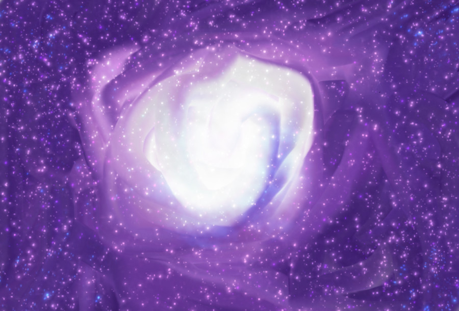 Purple Rose Galaxy