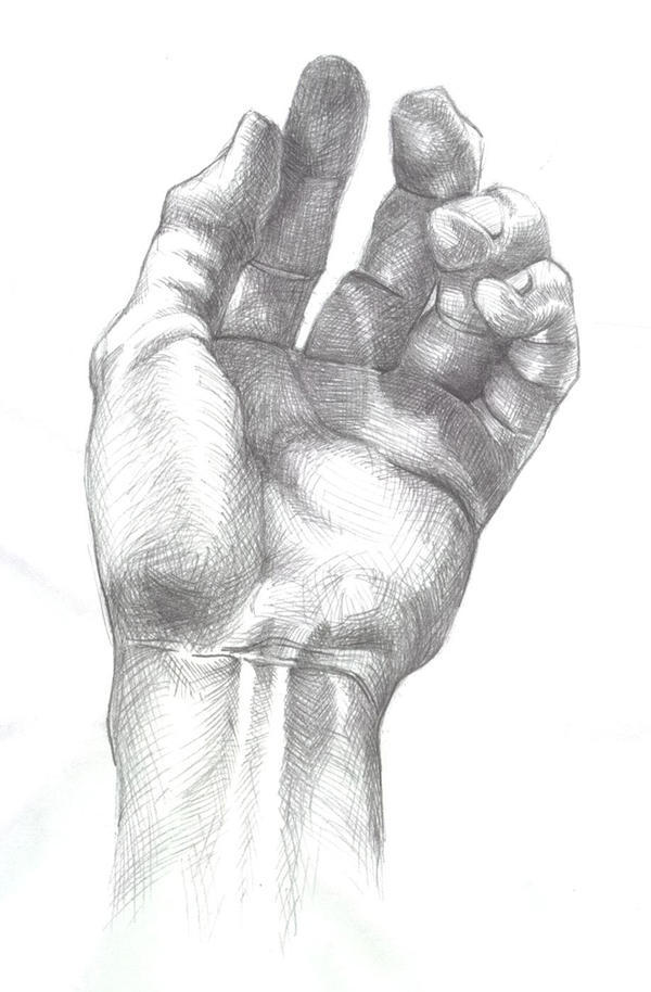 Graphite Hand Study by Wilheml on DeviantArt