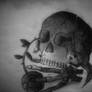 Skull and snake