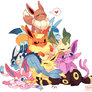 THE EEVEELUTION PROBLEM