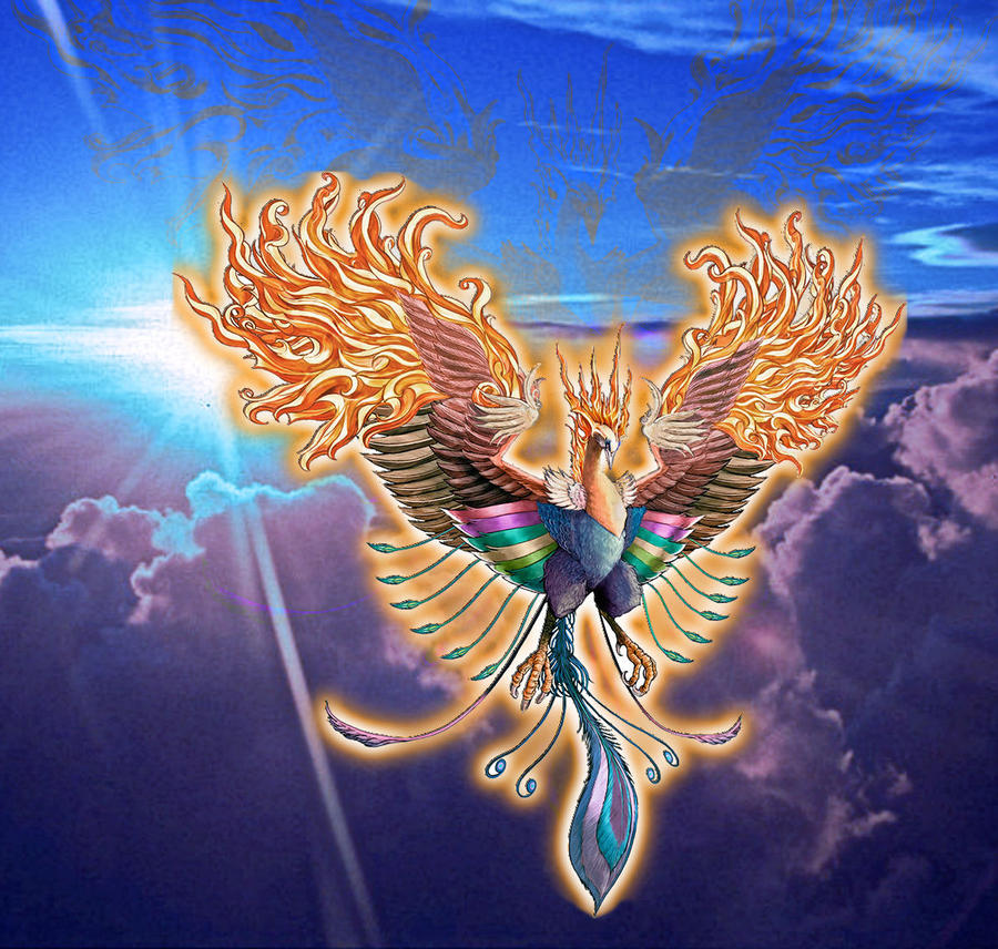 Phoenix Bird by edwards1206 on DeviantArt Phoenix Bird by edwards1206 on DeviantArt