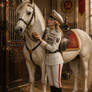 Committee Meeting: Molniya IV brushes her horse.