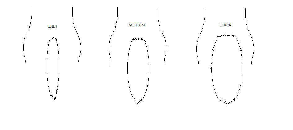 Tail Size Tail Commission Size Chart by Dance-Floor-Tails on DeviantArt