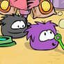 Puffle Animation