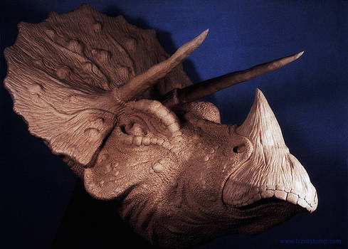 Triceratops Sculpture