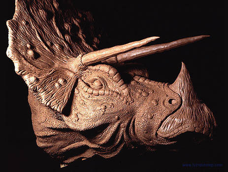 Triceratops, Side View