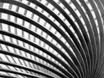 Slinky by ivanjs