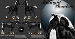 Midnight Phantom 2011-08 by Blood-Huntress