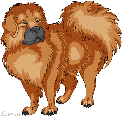 Tibetan Mastiff