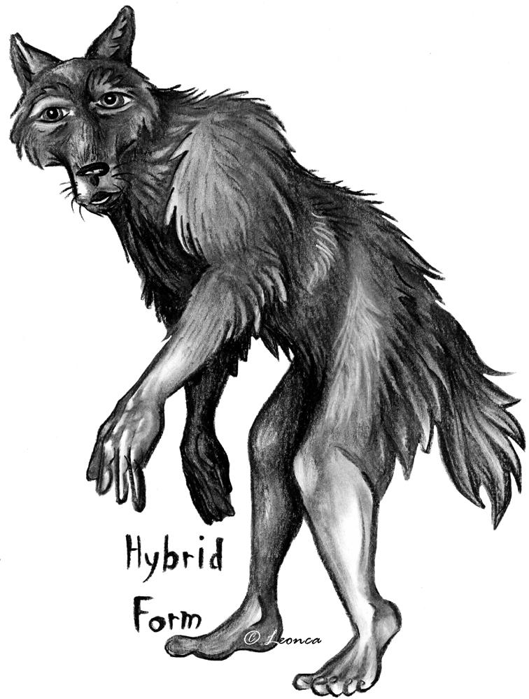 Werewolf Guide - Terminology by Leonca on DeviantArt