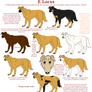 Dog Colors Guide- Red