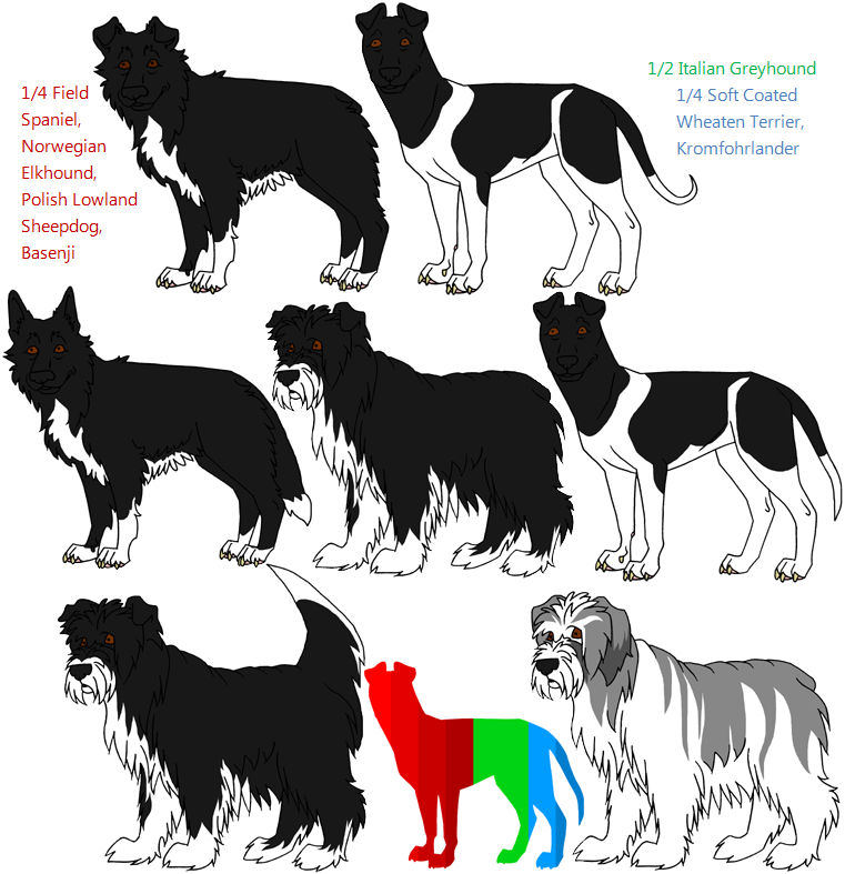 7-Way Mixed Breeds by Leonca on DeviantArt
