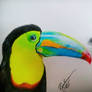 toucan