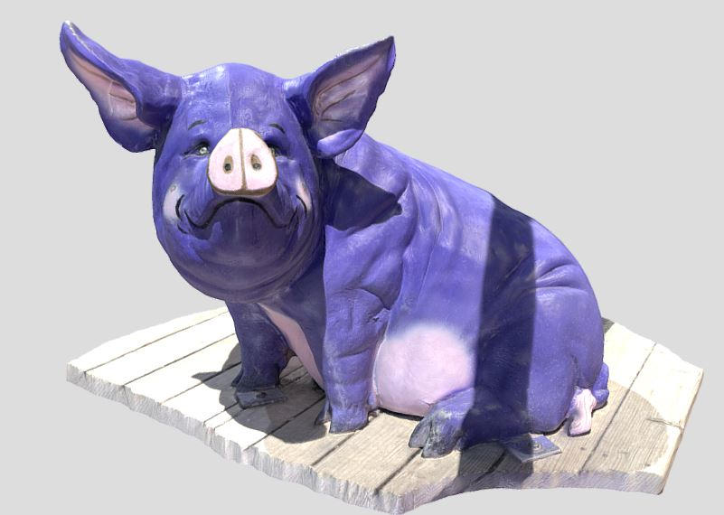 Purple Pig