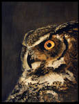 Great Horned Owl by lost-nomad07