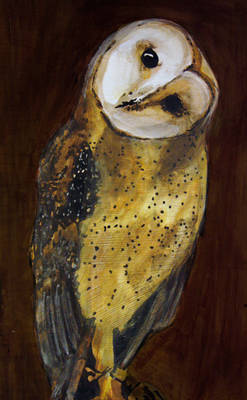 The Barn Owl