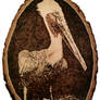 Pelican- Pyrography