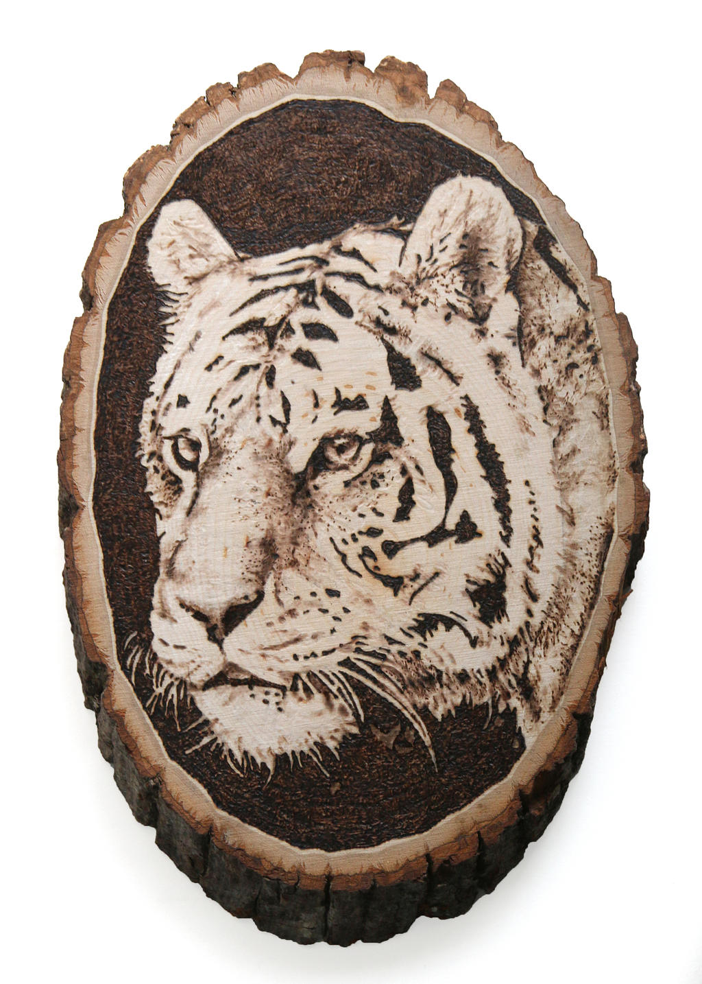 Tiger -pyrography by lost-nomad07 on DeviantArt