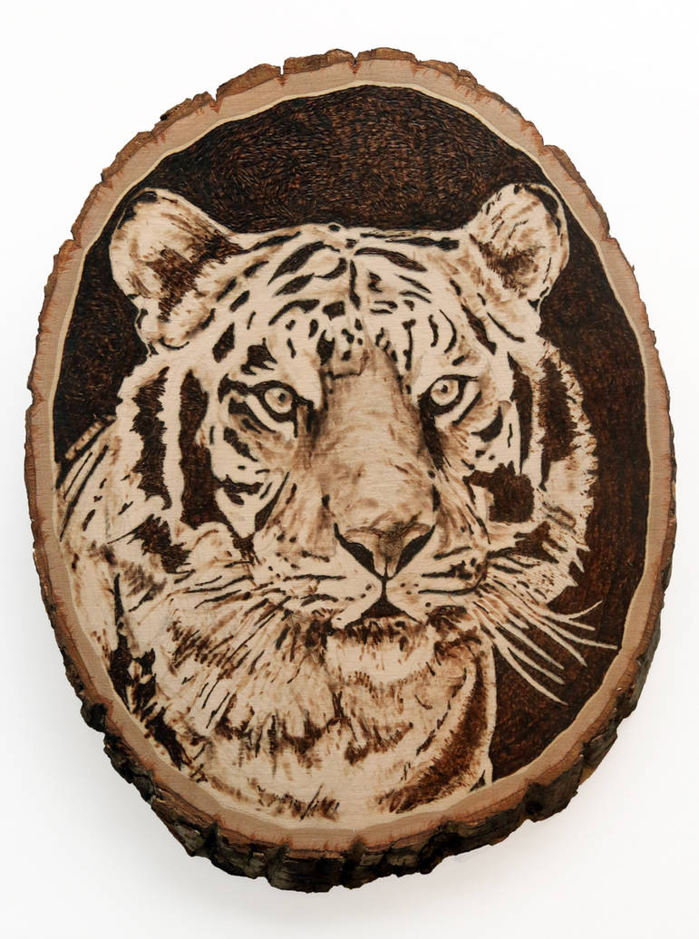 Tiger -pyrography by lost-nomad07 on DeviantArt