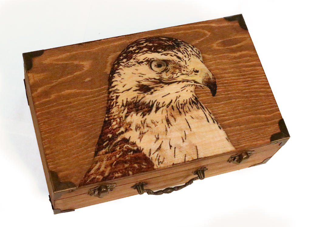 Red Tail Hawk -pyrography by lost-nomad07