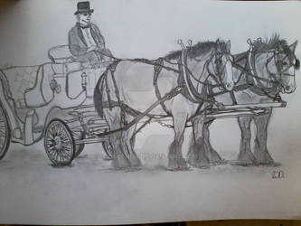 Carriage horse