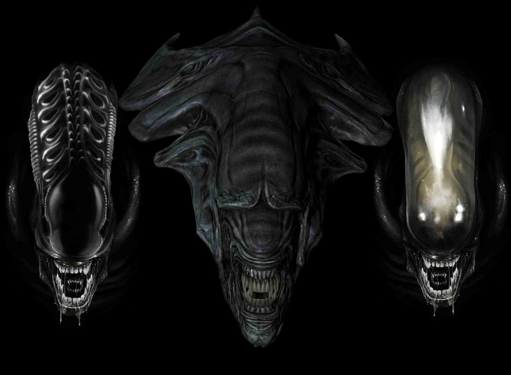 Xenos by WeylandYutaniCorp on DeviantArt
