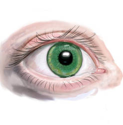 Eye2