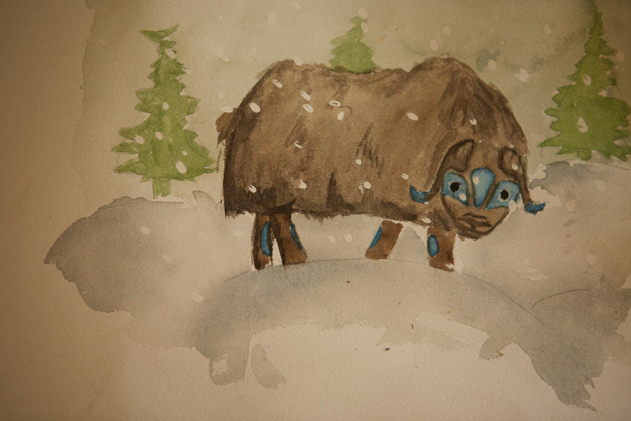 Muskox