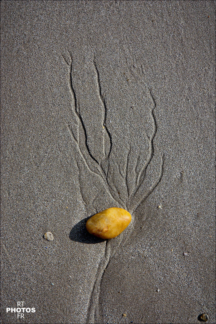 Graphism by RTphotosFR on DeviantArt