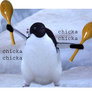 Penguin playing the maracas