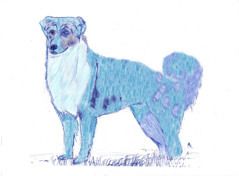 Blue dog by Skunk7 on DeviantArt