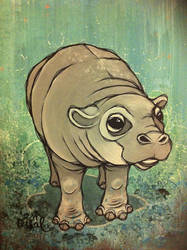 Hippo Calf
