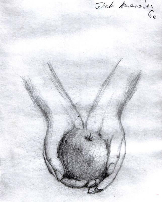 Twilight Apple Drawing By Itsanne On Deviantart