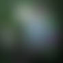 Gal used in MC Experiment