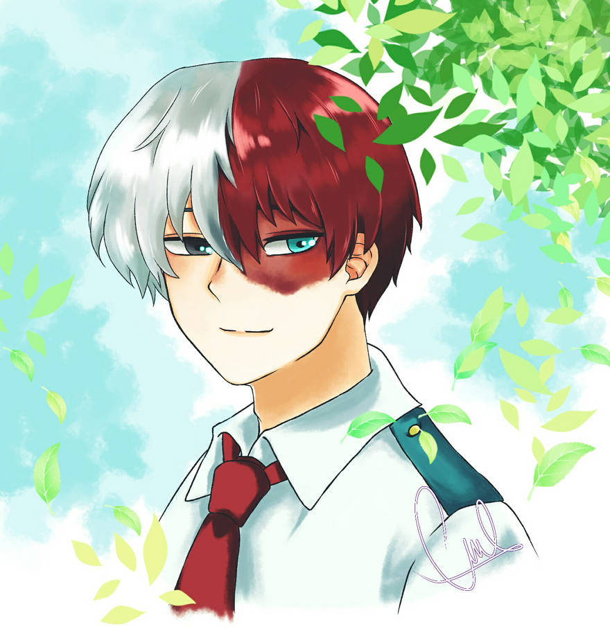 My Hero Academia Todoroki Fanart by ChzurusAwesome on DeviantArt
