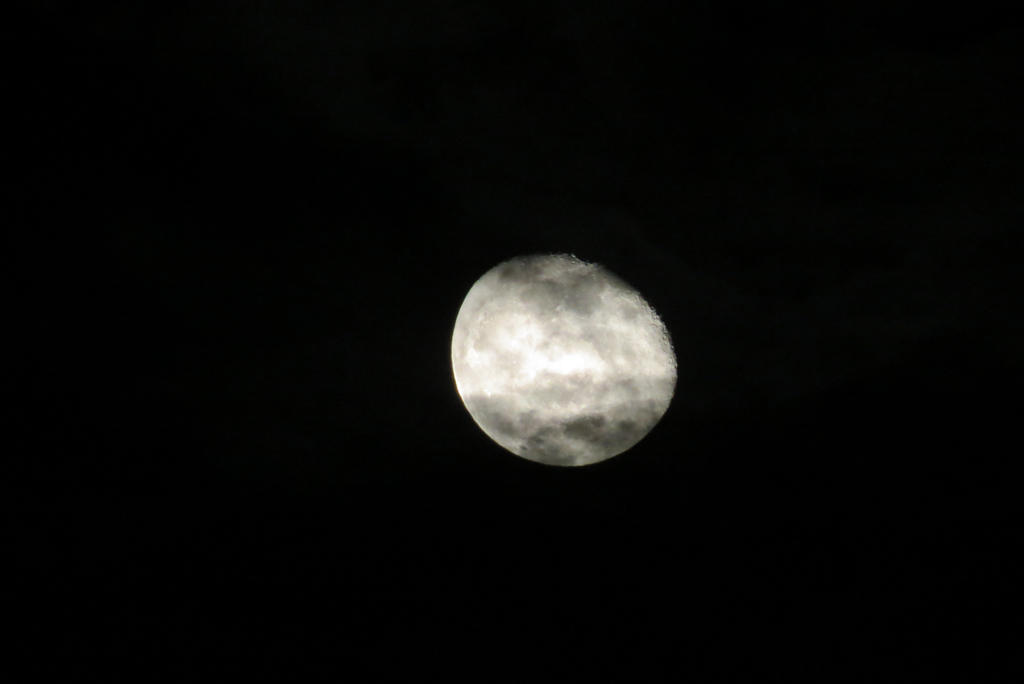 Another Moon Shot