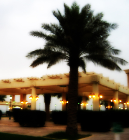 Souq_SHarg