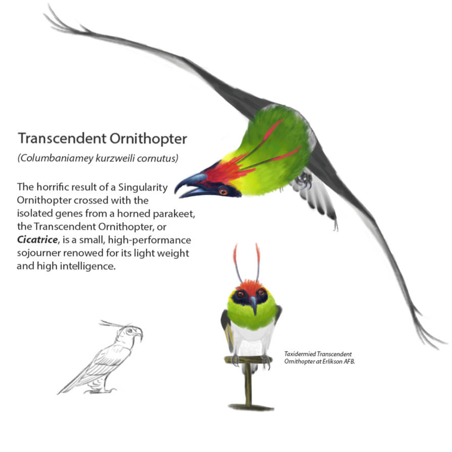 Transcendent Insect Transcendent Ornithopter| Cicatrice by Dictator-Darkstar on DeviantArt