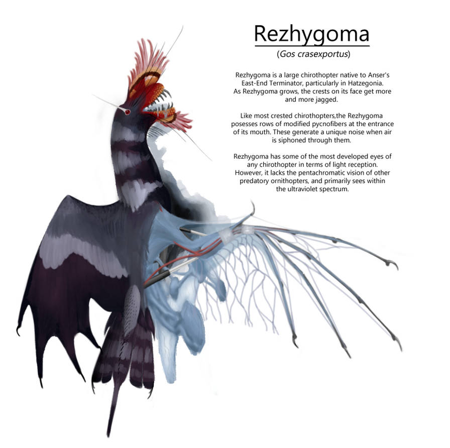 Rezhygoma Dissection by Dictator-Darkstar on DeviantArt