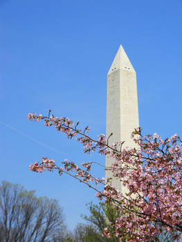 monuments and memories