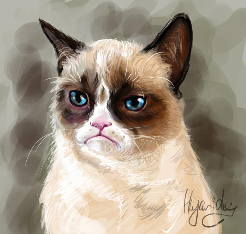 Grumpy Cat by Hyanide