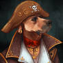 Pirate Doggo