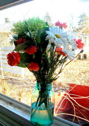 Flowers on the Windowsill 2