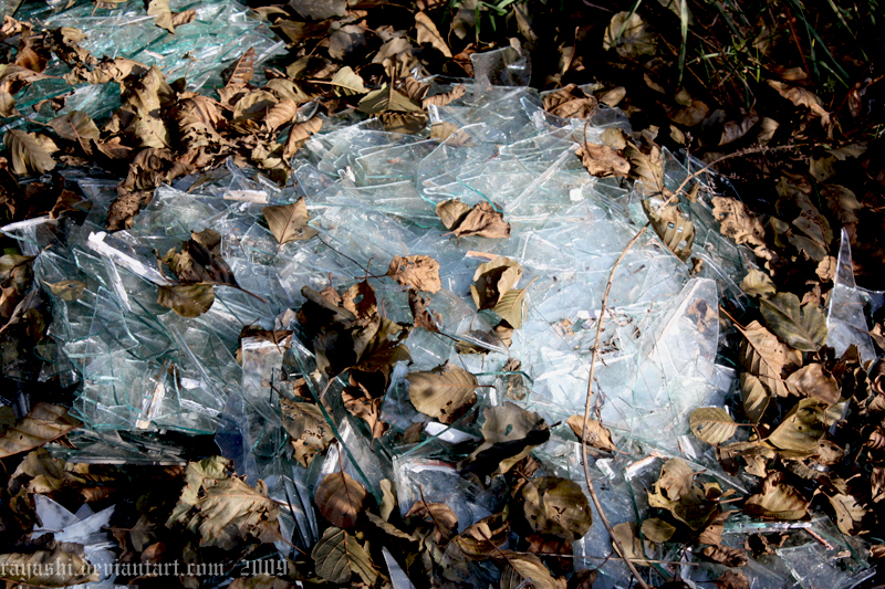 Dead Glass and Dead Leaves