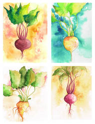 Portrait of a Beet - Collection