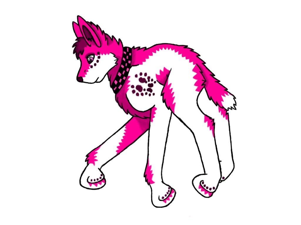 Pink dog