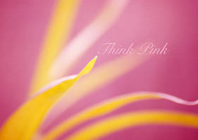 .Think Pink.